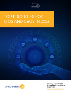 Whitepaper thumbnail for Top Priorities for CIOs and CEOs in 2023